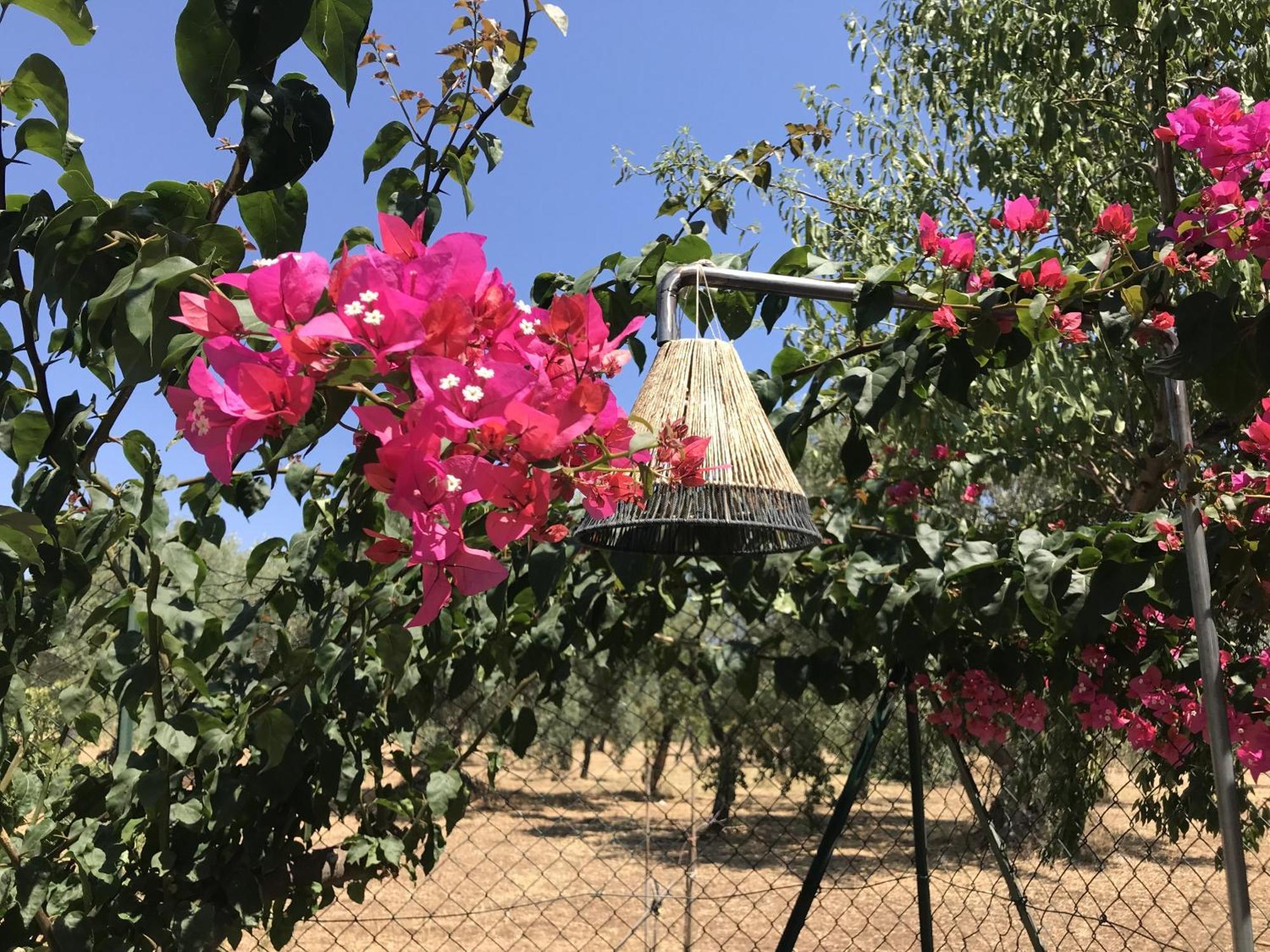Casapiuholidaysicilia-Adults Only Noto Chambre photo